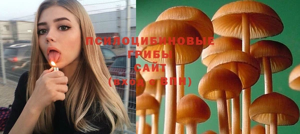 хмурый Балахна