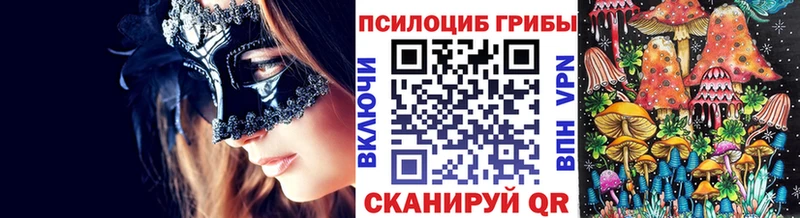 OMG зеркало  Спас-Клепики  Галлюциногенные грибы GOLDEN TEACHER 
